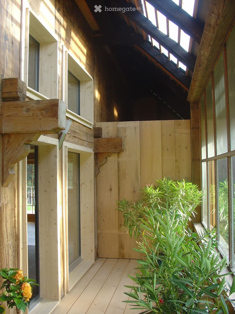 Wooden deck area with large sliding doors, wooden railings, and potted plants, including a yellow flower and green foliage.