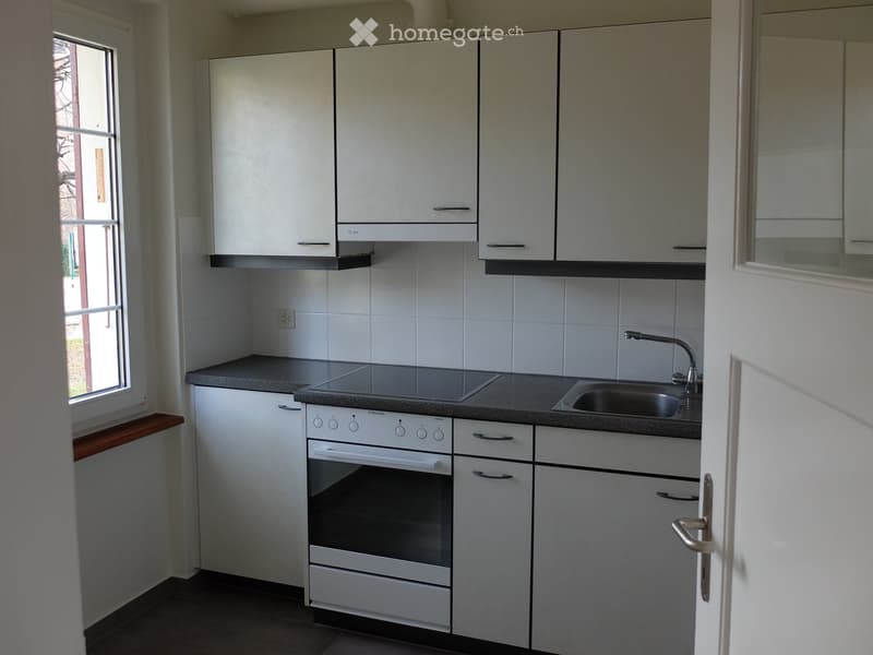 Modern kitchen with white cabinets, stainless steel sink, oven, and countertop.