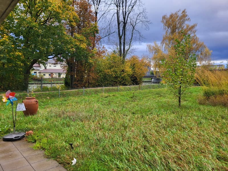 Large grassy field, trees, plants, metal fence, windmill, brown vase, cloudy sky, distant buildings