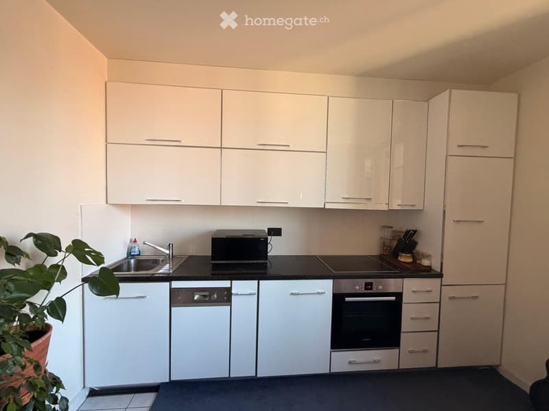 Modern kitchen with white cabinets, stainless steel appliances, black countertop, and a potted plant on the left side.