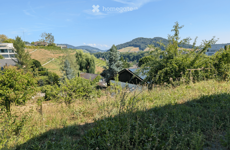 A lush garden area with various trees and shrubs, overlooking a scenic valley with hills and scattered houses under a clear blue sky.