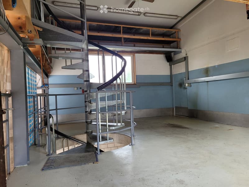 Empty room with a spiral staircase leading to an upper level, concrete floor, and blue-painted walls.