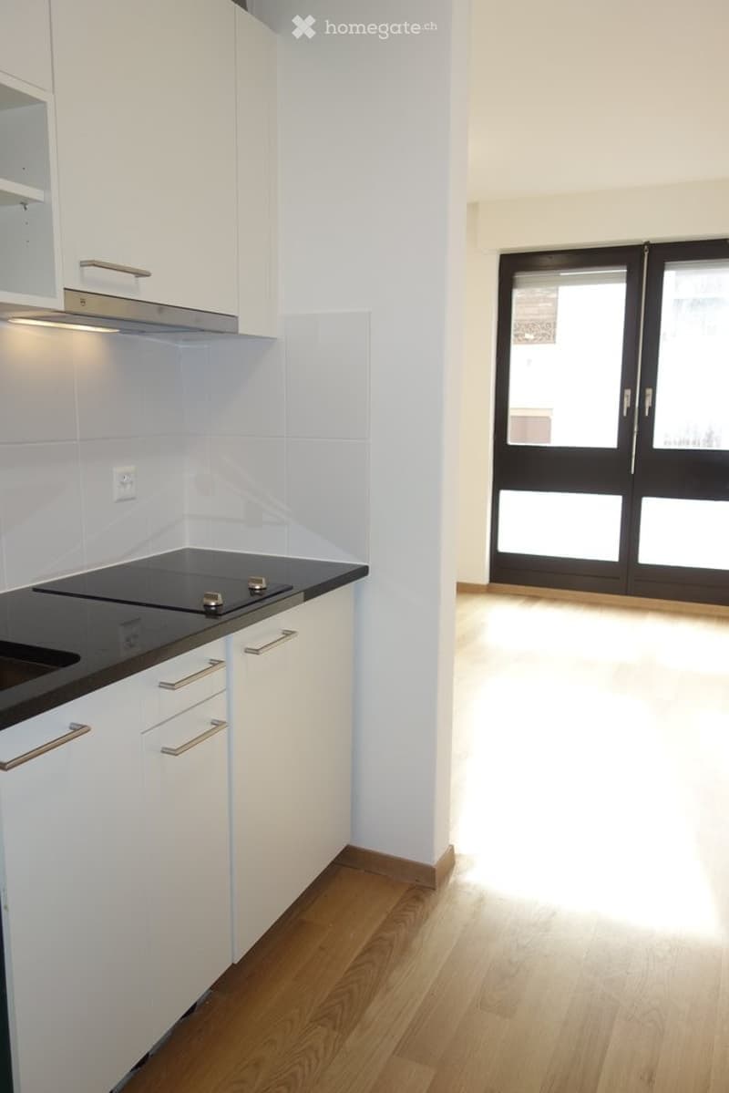 Modern kitchen with white cabinets, black countertop, and a sleek stove. The space features light wooden flooring and a large window with black-framed glass doors leading to an adjacent area.