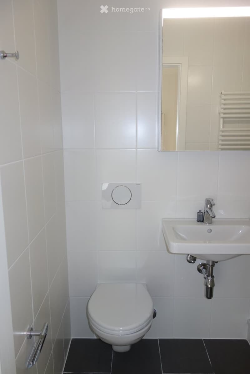 Modern bathroom with white tiles, a toilet, a sink with a modern faucet, a large mirror, and a radiator.