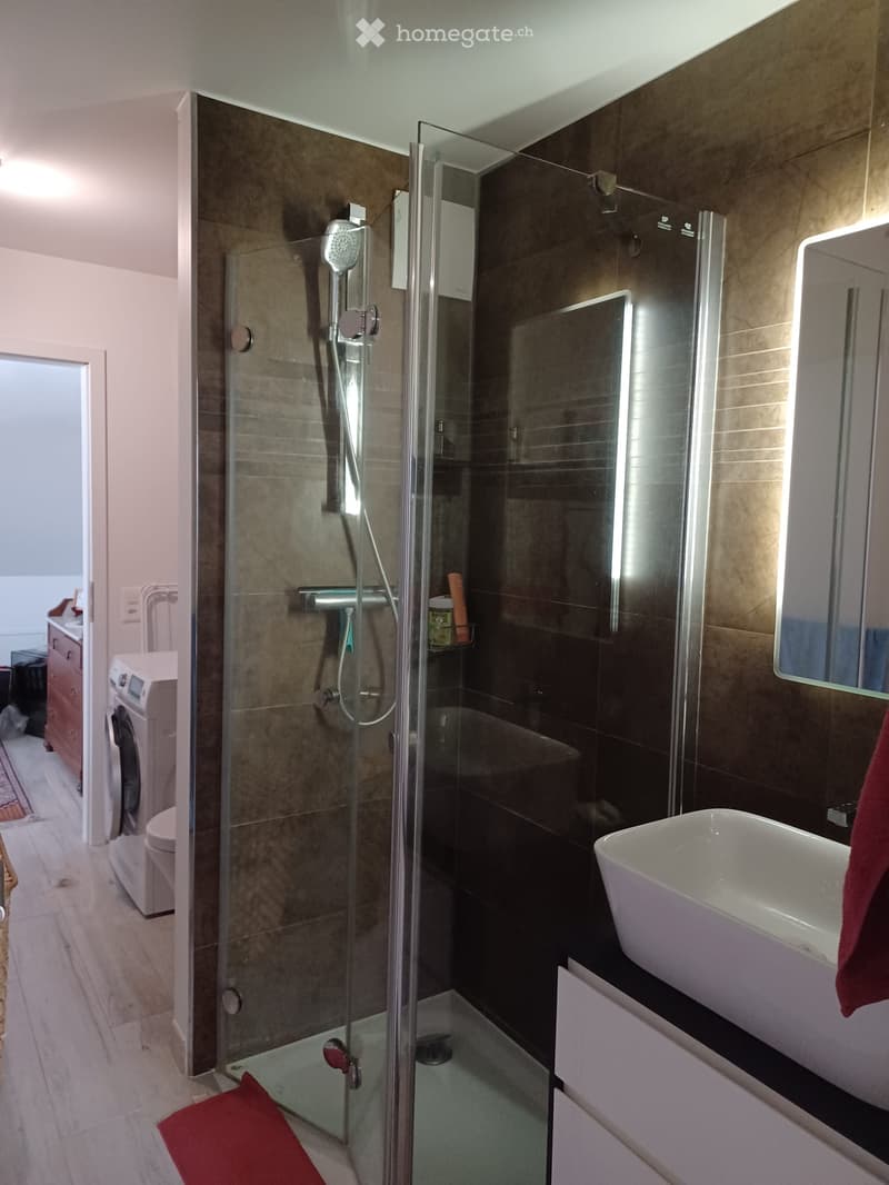 Modern bathroom with a glass-enclosed shower, a white sink, a mirror, and a private washing machine visible in the adjacent space.