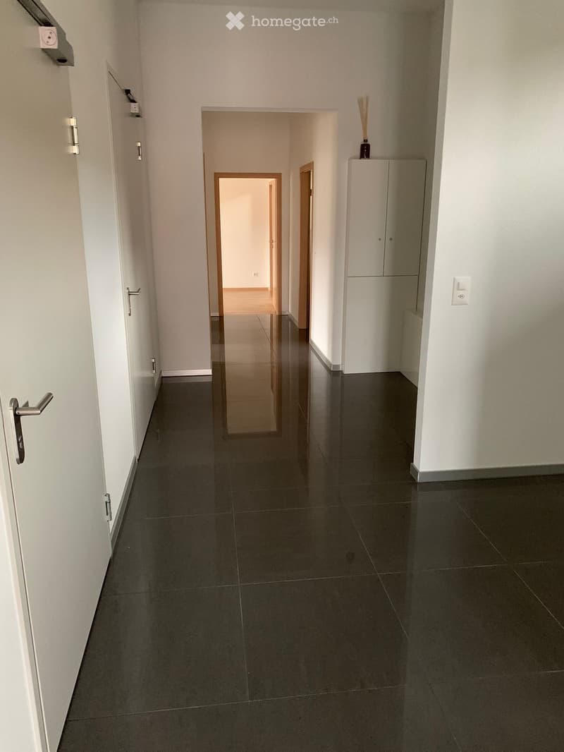 Clean, modern hallway with dark tiled flooring, white walls, and several doors leading to other rooms.