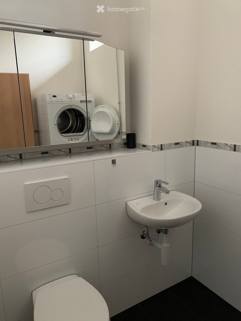 Modern bathroom with a white sink, chrome faucet, toilet, washing machine, and a large mirror above the sink.