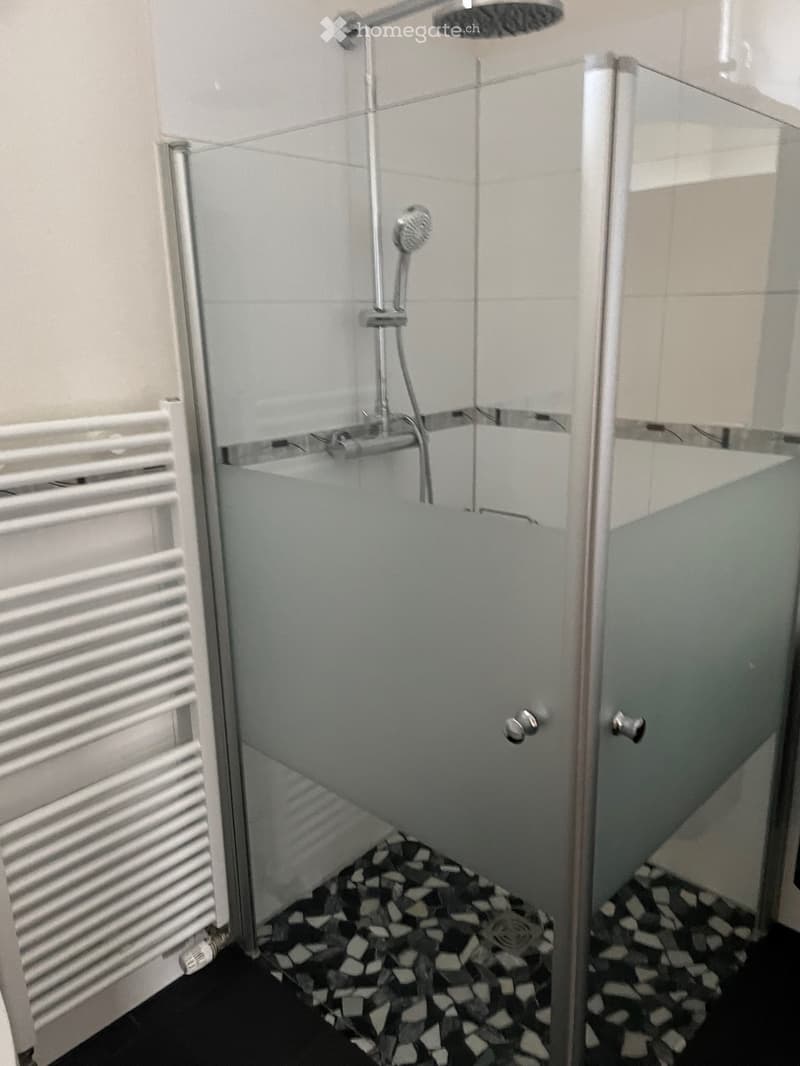 Modern bathroom with a glass-enclosed shower, a handheld showerhead, and a radiator on the wall.