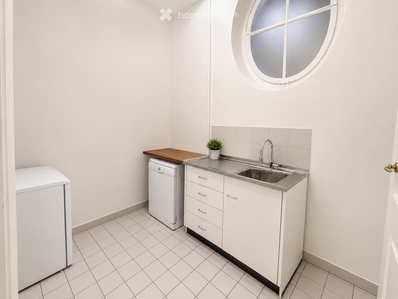 Modern kitchen with white cabinets, stainless steel sink, dishwasher, and a small potted plant on the counter.