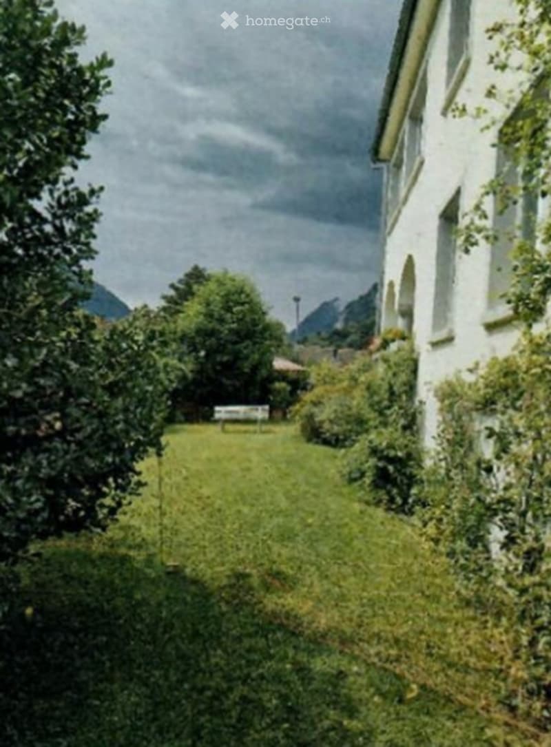 A well-maintained garden area with a white bench, surrounded by lush greenery and a white building in the background.