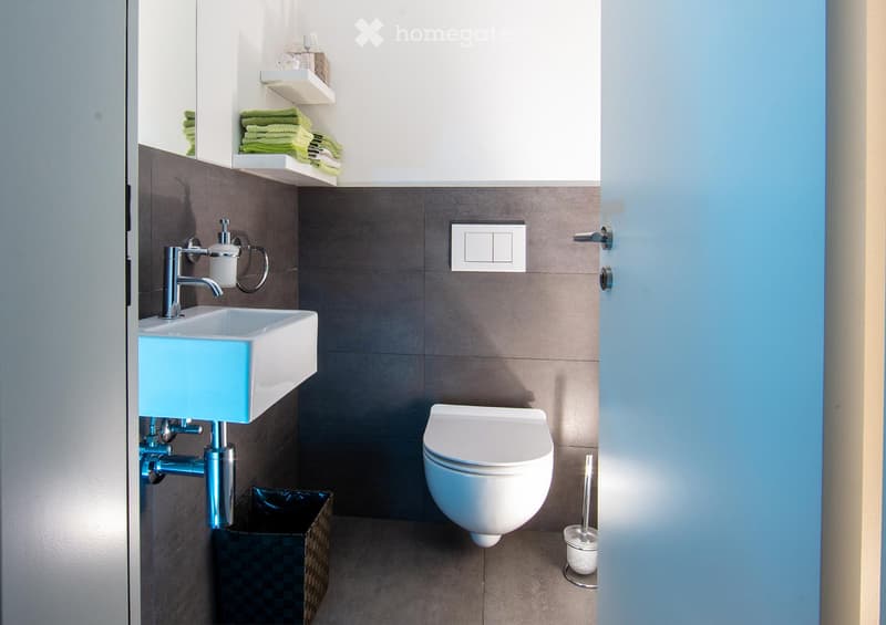 Modern bathroom with a white toilet, a light blue sink, a chrome faucet, and neatly arranged towels on shelves.