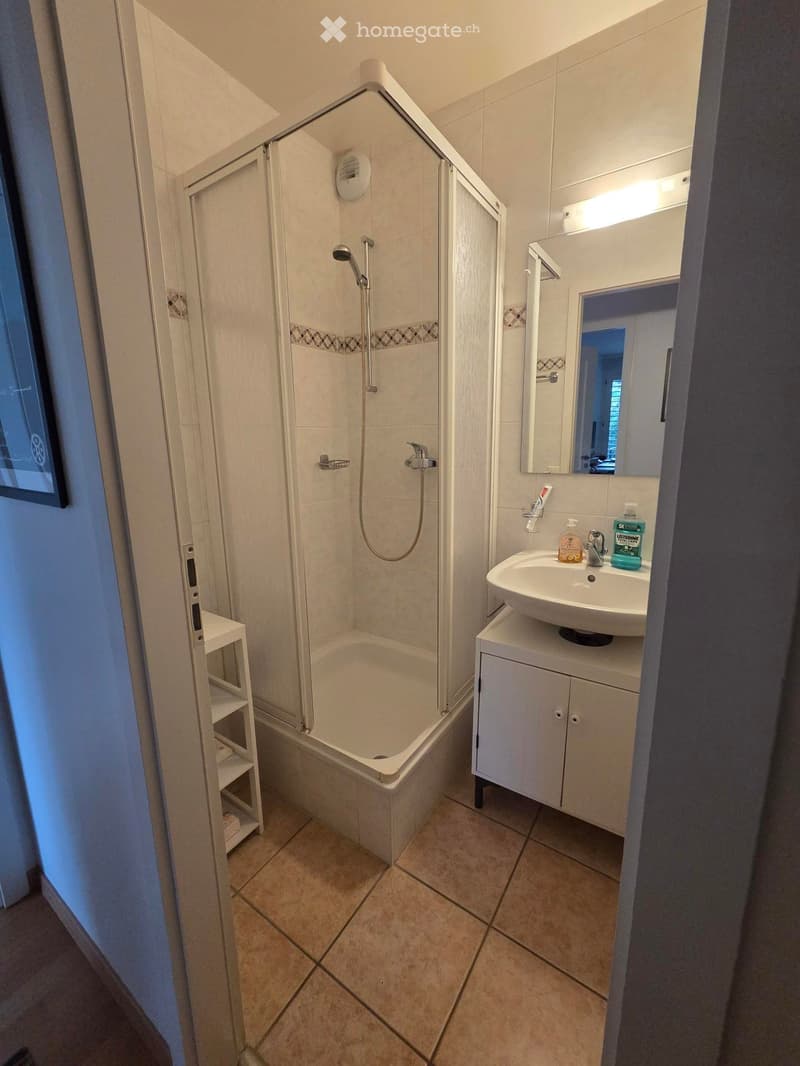 Modern bathroom with a bathtub, glass-enclosed shower, sink with cabinet, mirror, and toiletries.