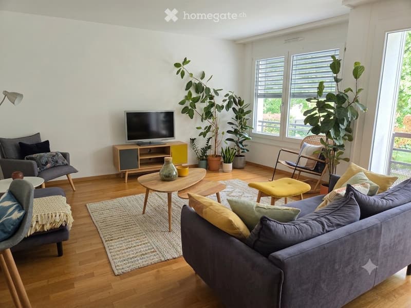 Modern living room with large windows, grey sofa, coffee tables, armchairs, TV, and decorative plants.