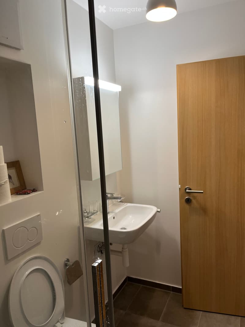 Modern bathroom with a toilet, sink, mirror, and a wooden door. The sink has a modern faucet, and there is a small cabinet above it. The room is well-lit with a ceiling light fixture.