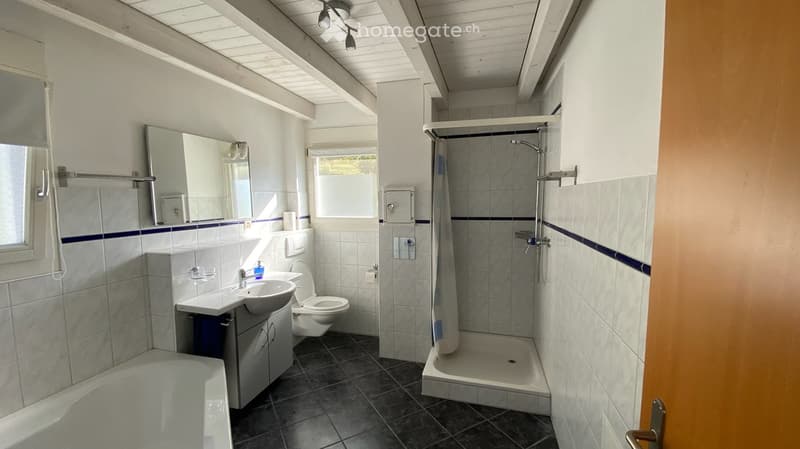 Bathroom with a sink, toilet, bathtub, shower, and mirror. The room features white tiles with blue accents and a window providing natural light.