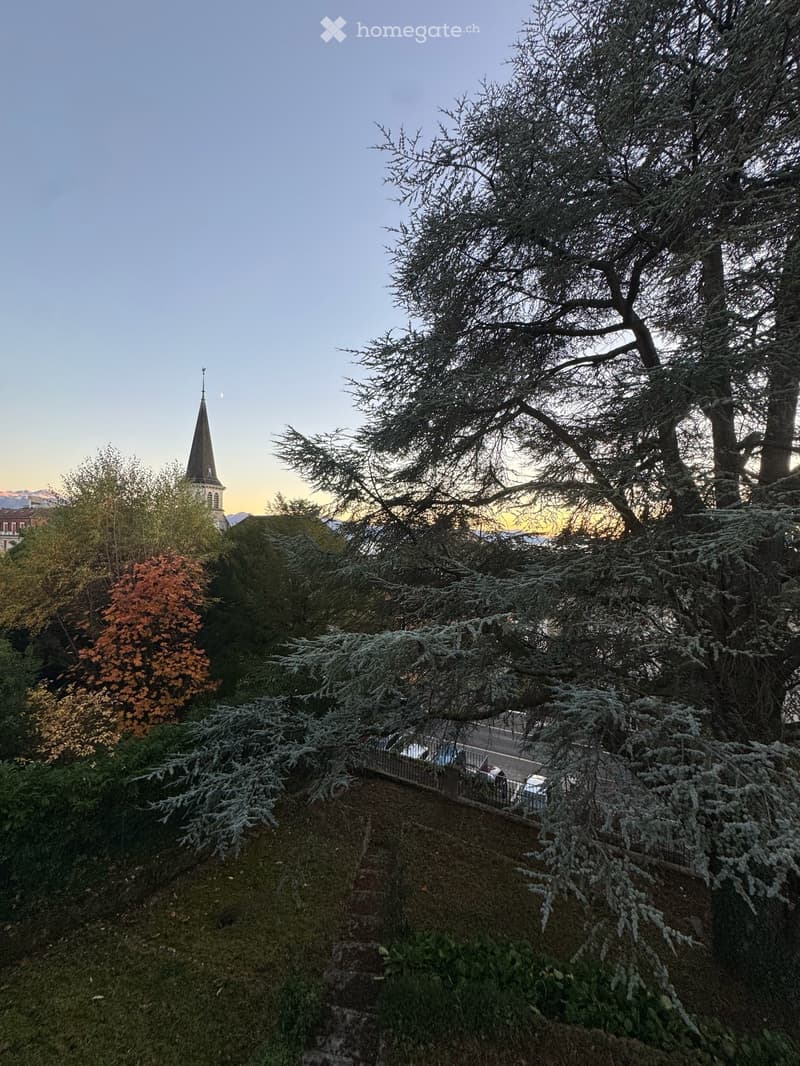 Magnifique maison, bien rare, idéal pour une famille au coeur de Lausanne (2)
