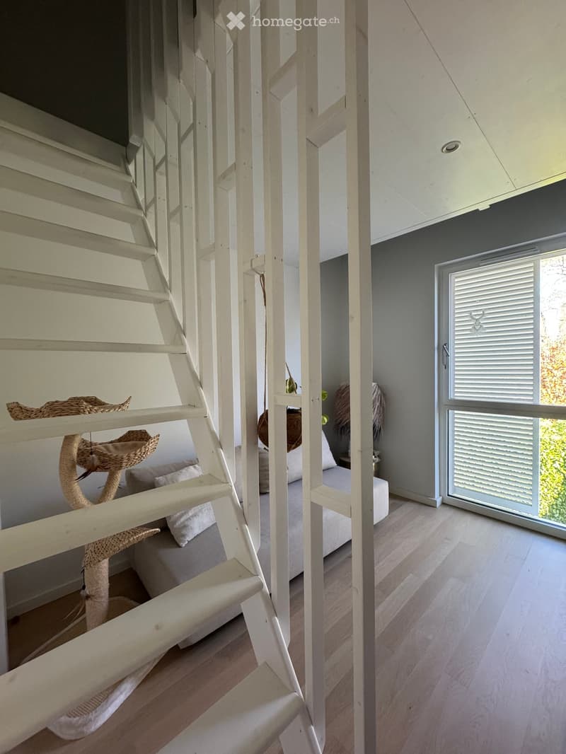 Modern bedroom with a cat tree, cat bed, and pillows, featuring a large window with blinds and wooden flooring.