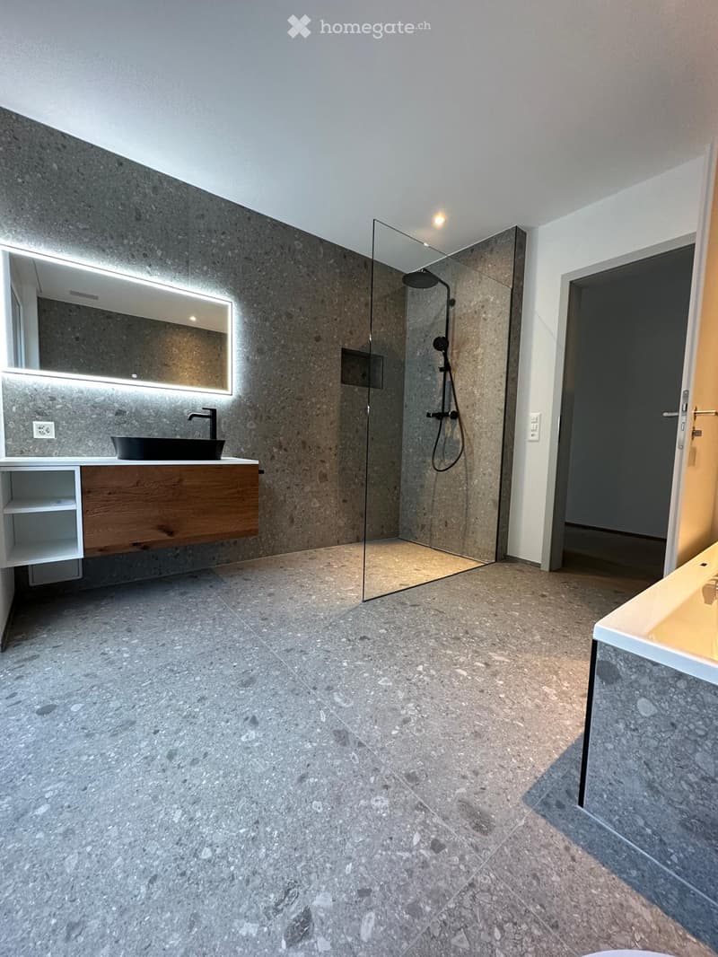 Modern bathroom with a large mirror, sleek sink, wooden cabinet, and glass-enclosed shower area.
