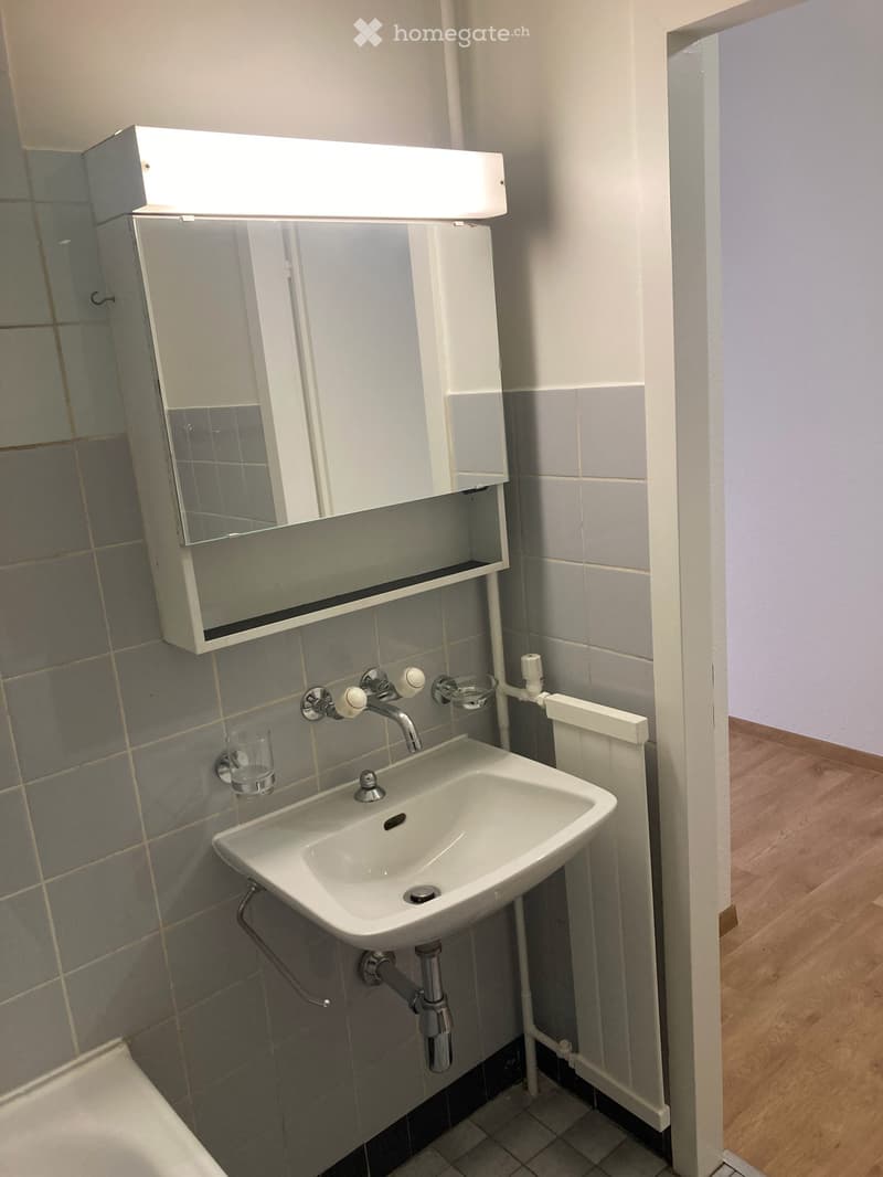 Studio 26m² - Veyrier (5)