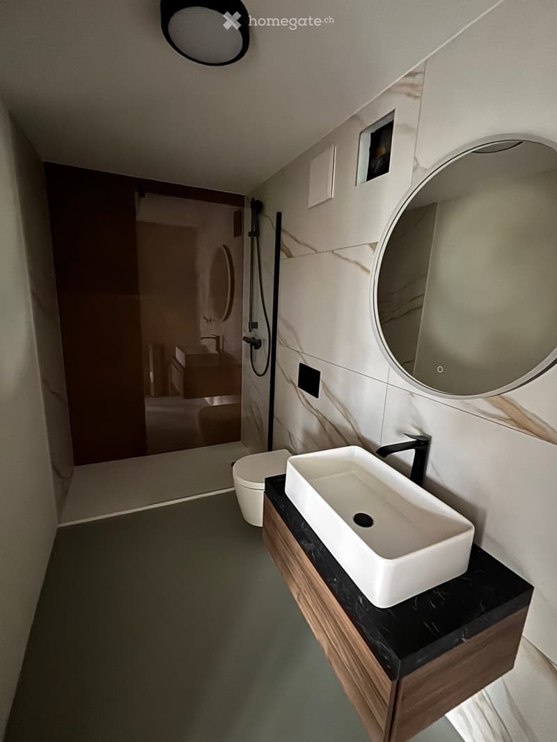 Modern bathroom with a white sink, black countertop, round mirror, and a toilet visible in the background.