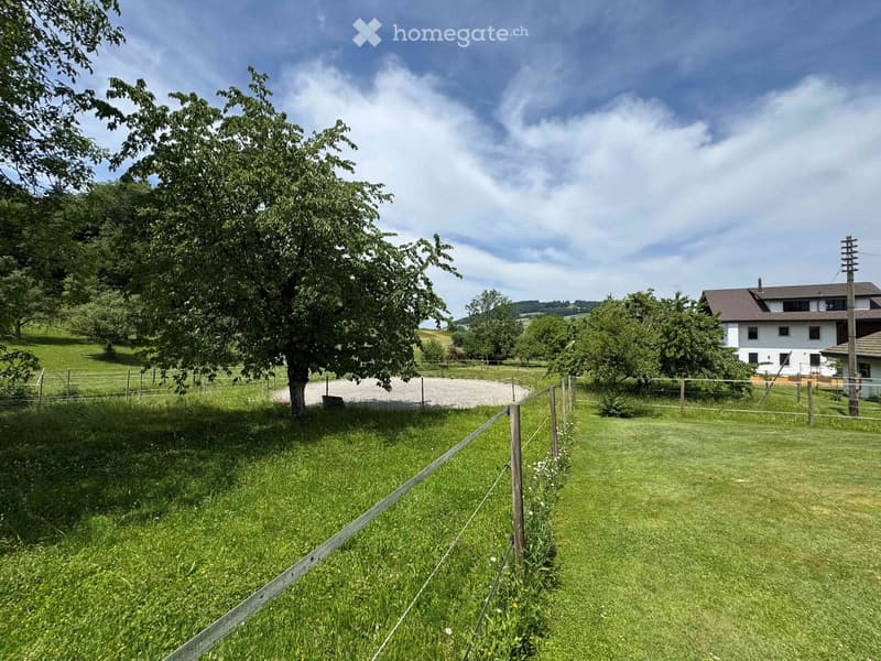 Lush green lawn with a wooden fence, a large tree, and a house in the background under a partly cloudy sky.