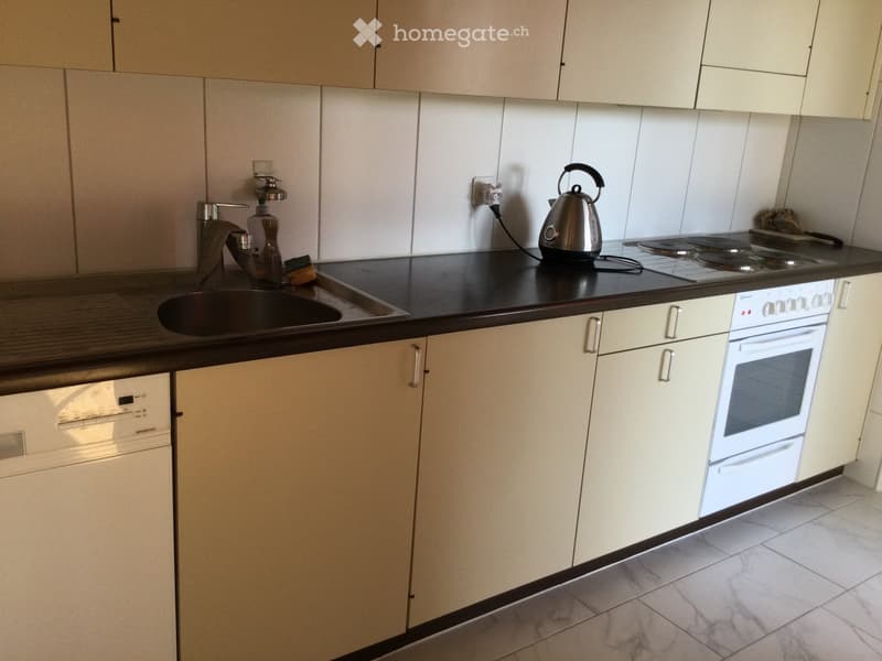 Modern kitchen with light-colored cabinets, a black countertop, and stainless steel appliances including an oven, dishwasher, and electric kettle. Features a sink with a faucet and a small induction stove.