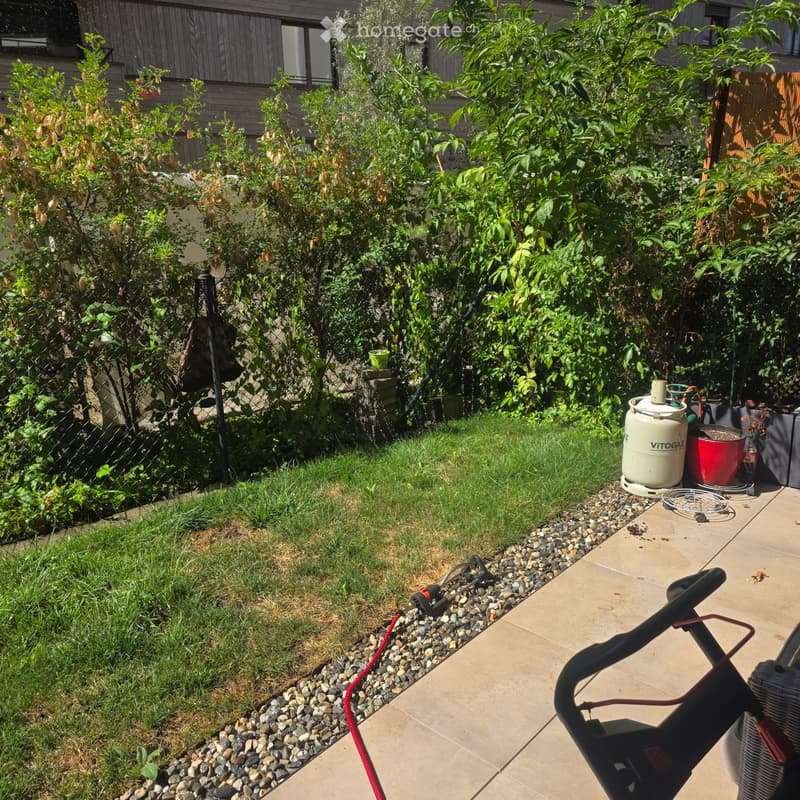 Garden area with a small lawn, gravel border, and various plants, including a large bush and smaller shrubs. A propane tank and a red pot are visible on the right side, along with a paved patio area.