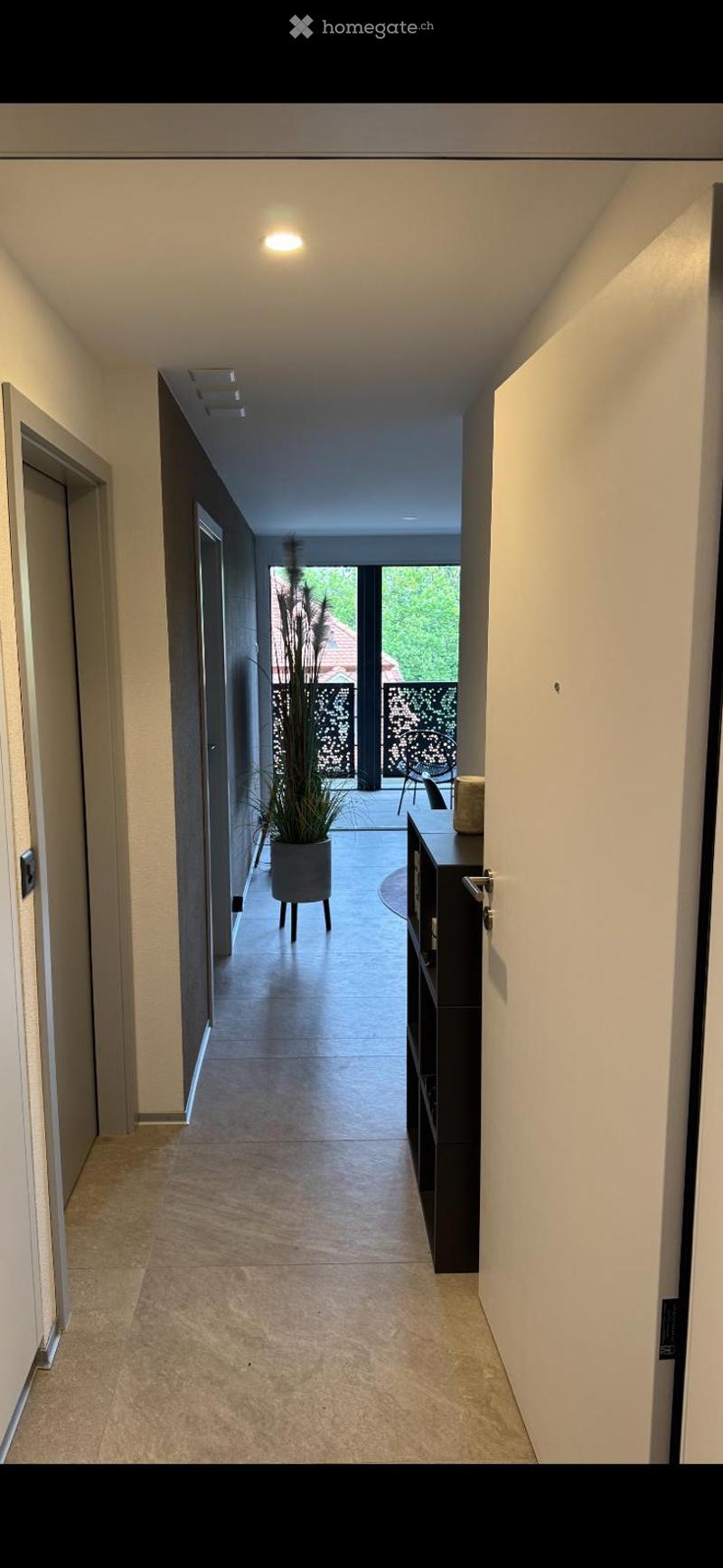 Modern hallway with tiled flooring, white walls, and recessed lighting. Features a potted plant and a small table near the entrance to a balcony area.