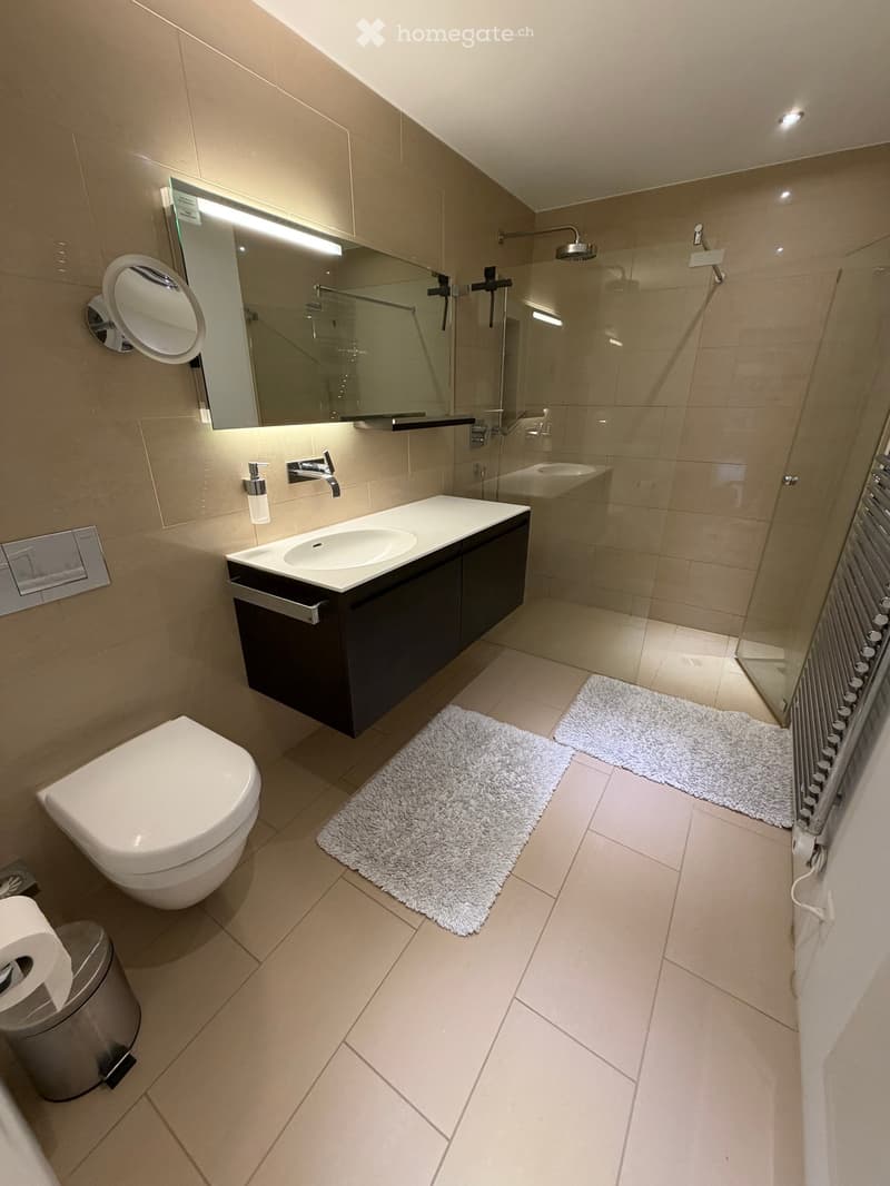 Modern bathroom with beige tiles, a toilet, a sink with a dark cabinet, a large mirror, a glass-enclosed shower, and a radiator. Two white rugs are placed on the floor.