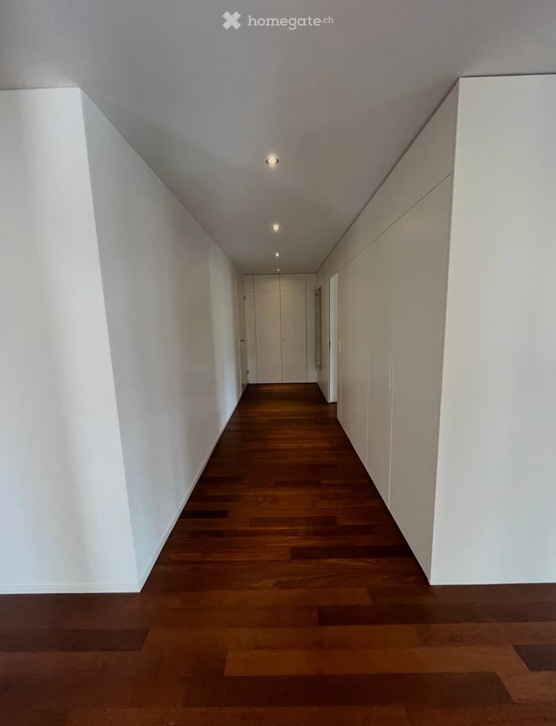 Modern hallway with wooden flooring, white walls, and recessed lighting. Features built-in white cabinetry on one side and a closed door at the end.