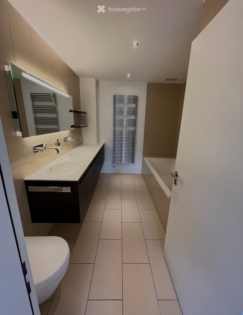 Modern bathroom with a double sink, bathtub, built-in cabinets, and heated towel racks.