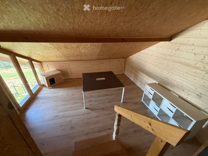 A wooden-floored room with large windows, featuring a dark table, a white shelf unit, a small dog house, and a cat tree with a scratching post.