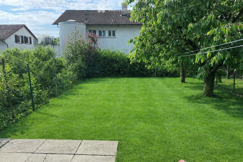 Garden / Outdoor Area. A well-maintained garden with a large green lawn, a tree, and a house in the background.
