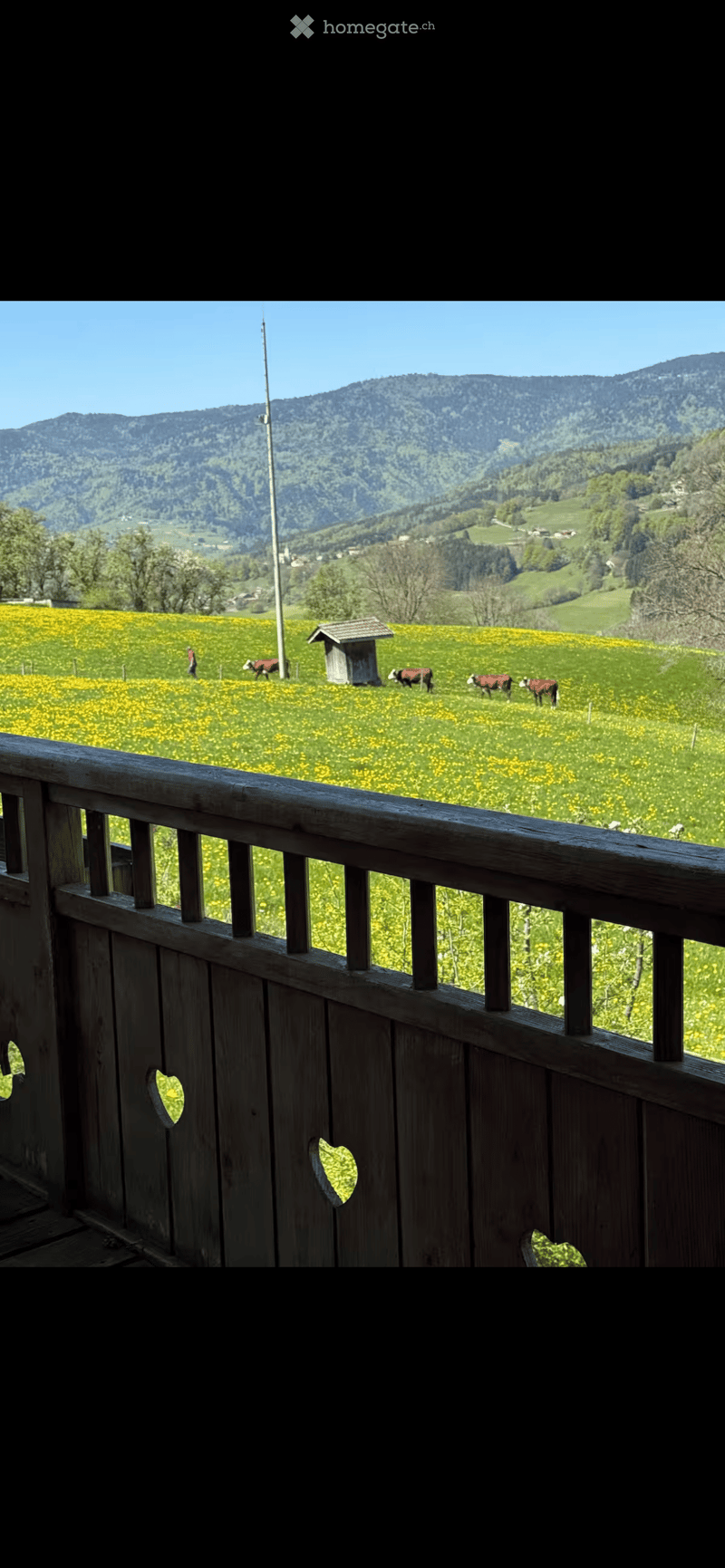 Balcony overlooking a green field with cows grazing, surrounded by hills and a clear blue sky.