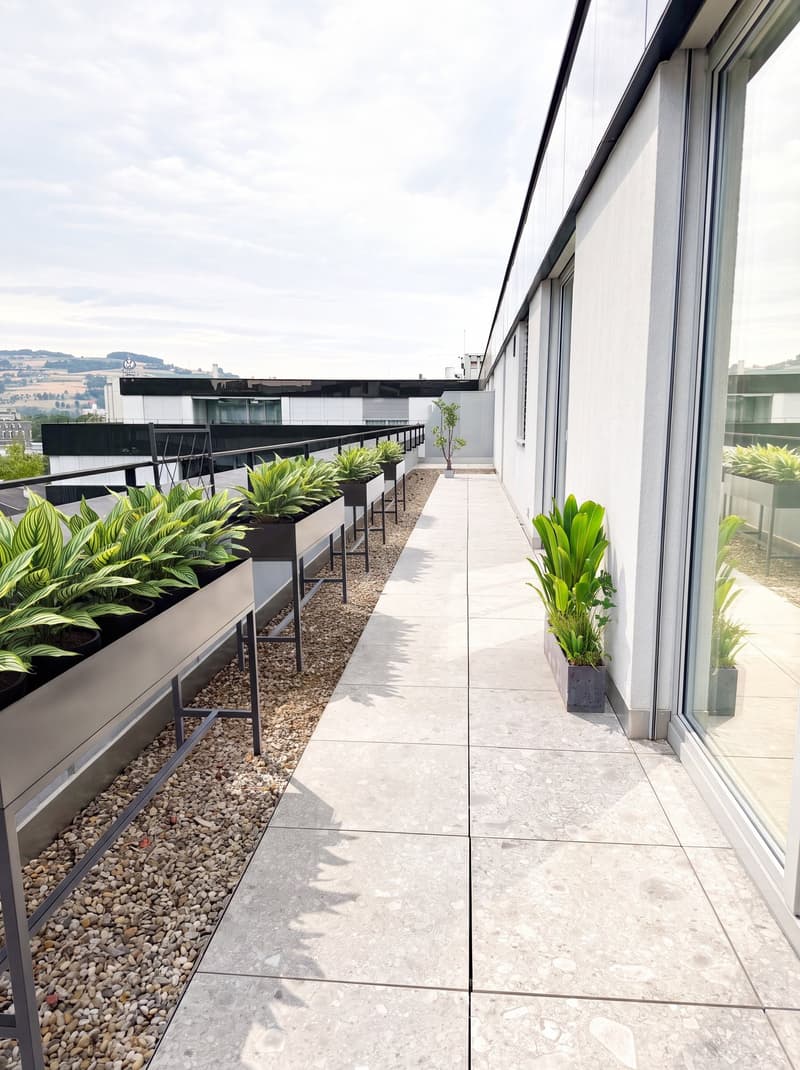 Modern rooftop terrace with a concrete floor, gravel border, and potted plants along the edges. The area features a metal railing and offers a view of the surrounding landscape.
