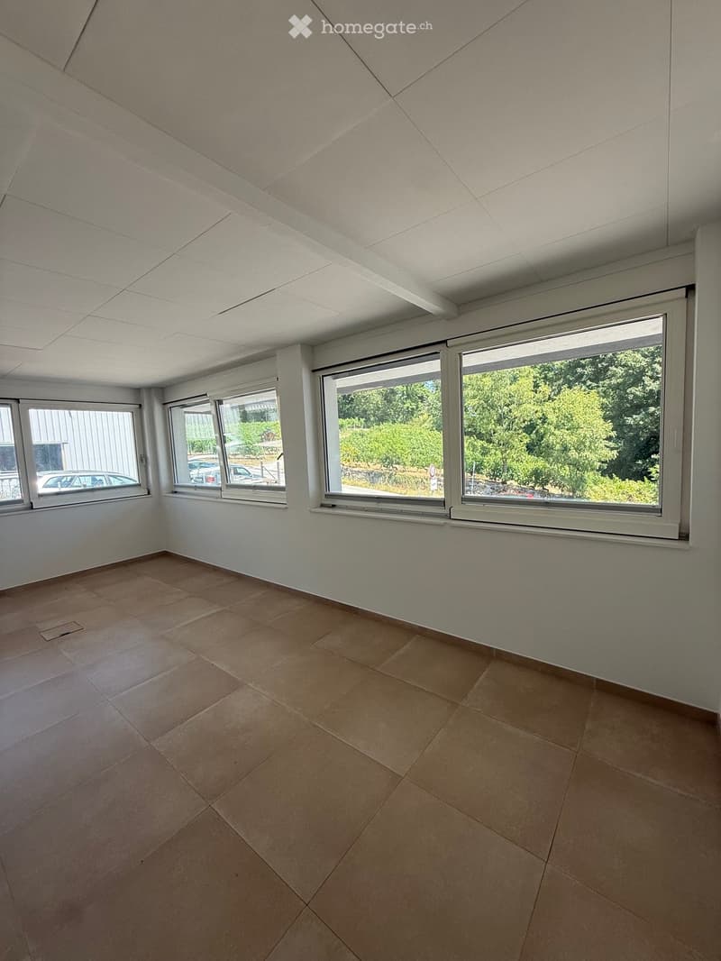 Empty room with tiled floor, white walls, and large windows offering a view of greenery outside.