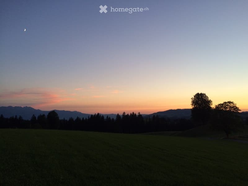 A serene landscape at sunset with a grassy field, scattered trees, and distant mountains under a twilight sky.