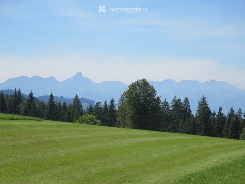A wide, green meadow with tall trees and distant mountain peaks under a clear blue sky.