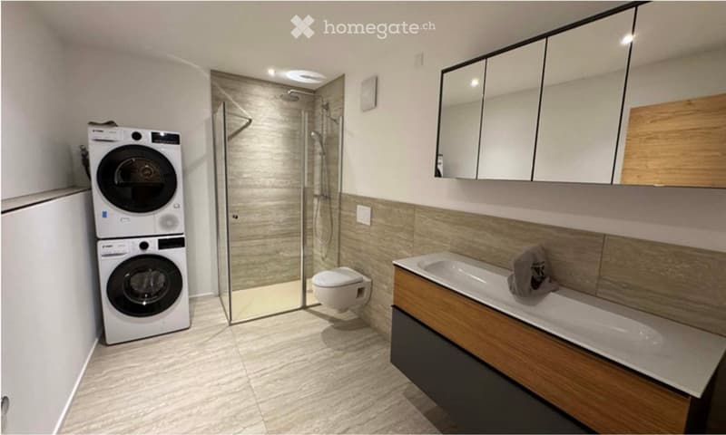 Modern bathroom with a washing machine, toilet, sink, mirror, and a glass-enclosed shower area.