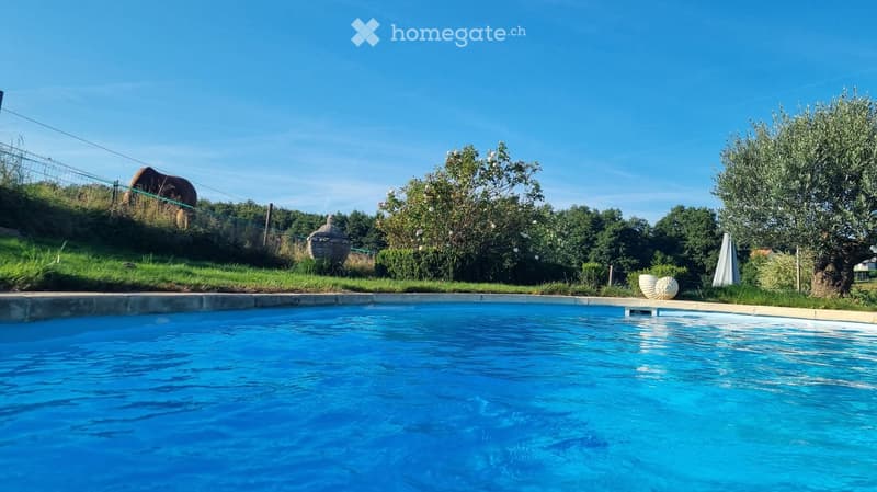 A private garden area with a swimming pool, surrounded by greenery, trees, and a fenced area with a horse grazing.