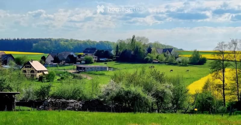 Rural landscape with green fields, scattered houses, and grazing animals.