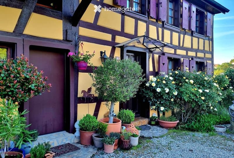 Traditional half-timbered house with yellow and purple exterior, surrounded by potted plants and shrubs in a gravel area.