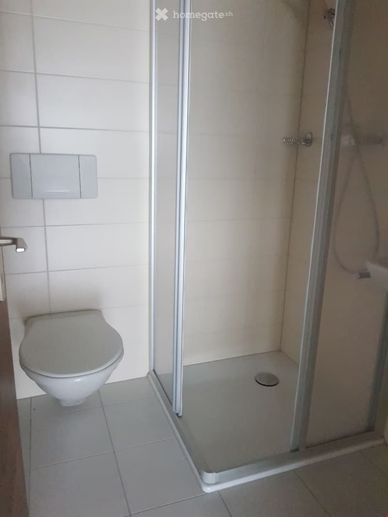 White ceramic tiles, white toilet, glass shower enclosure, white wall