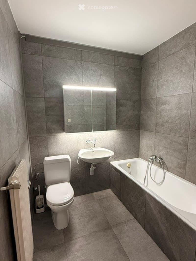 Modern bathroom with dark grey tiles, a toilet, a sink, a bathtub, a mirror, and a radiator.