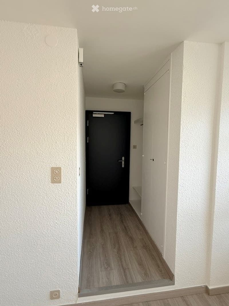 Empty hallway with wooden flooring, white walls, and a closed black door at the end.