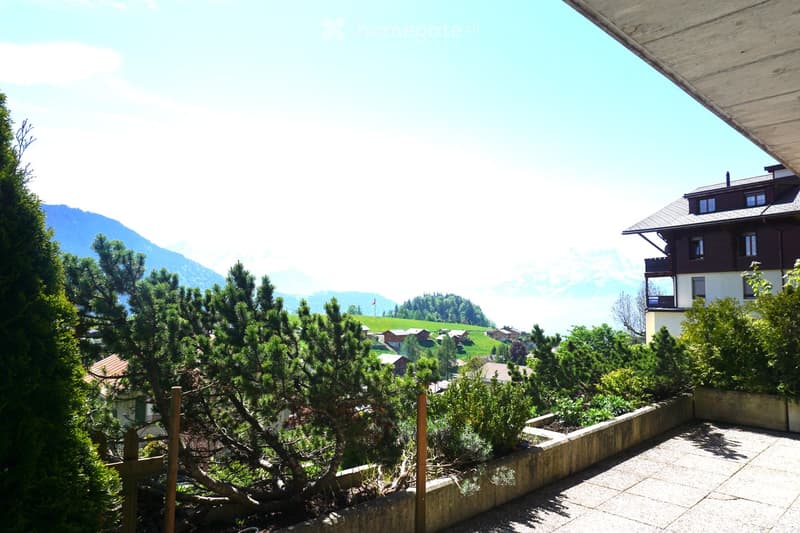 Garden area with neatly trimmed bushes, a small tree, and a view of a village and mountains in the background.
