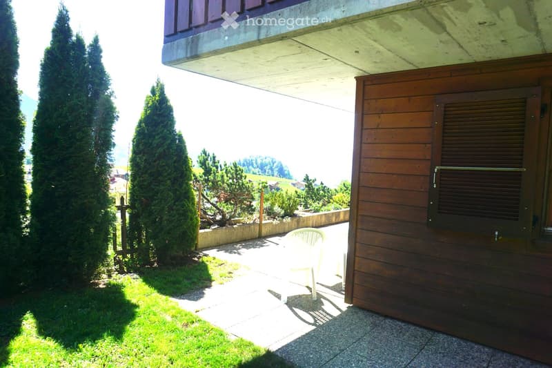 Garden area with a white plastic chair, surrounded by tall coniferous trees and a wooden shed.
