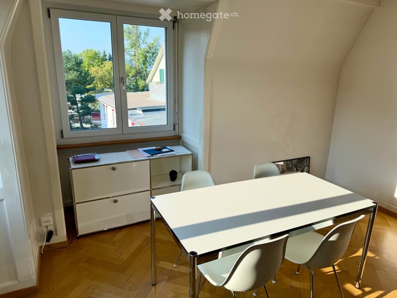 Charmante 3-Zimmer-Altbauwohnung inkl. Parkplatz an ruhiger und zentraler Lage in Zürich (2)