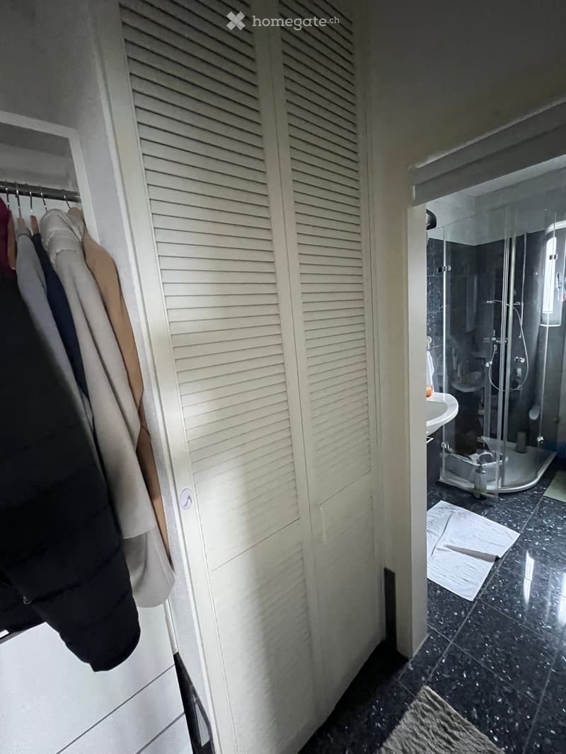Bathroom with a glass-enclosed shower, sink, and mirror. A white closet with clothes is visible to the left.