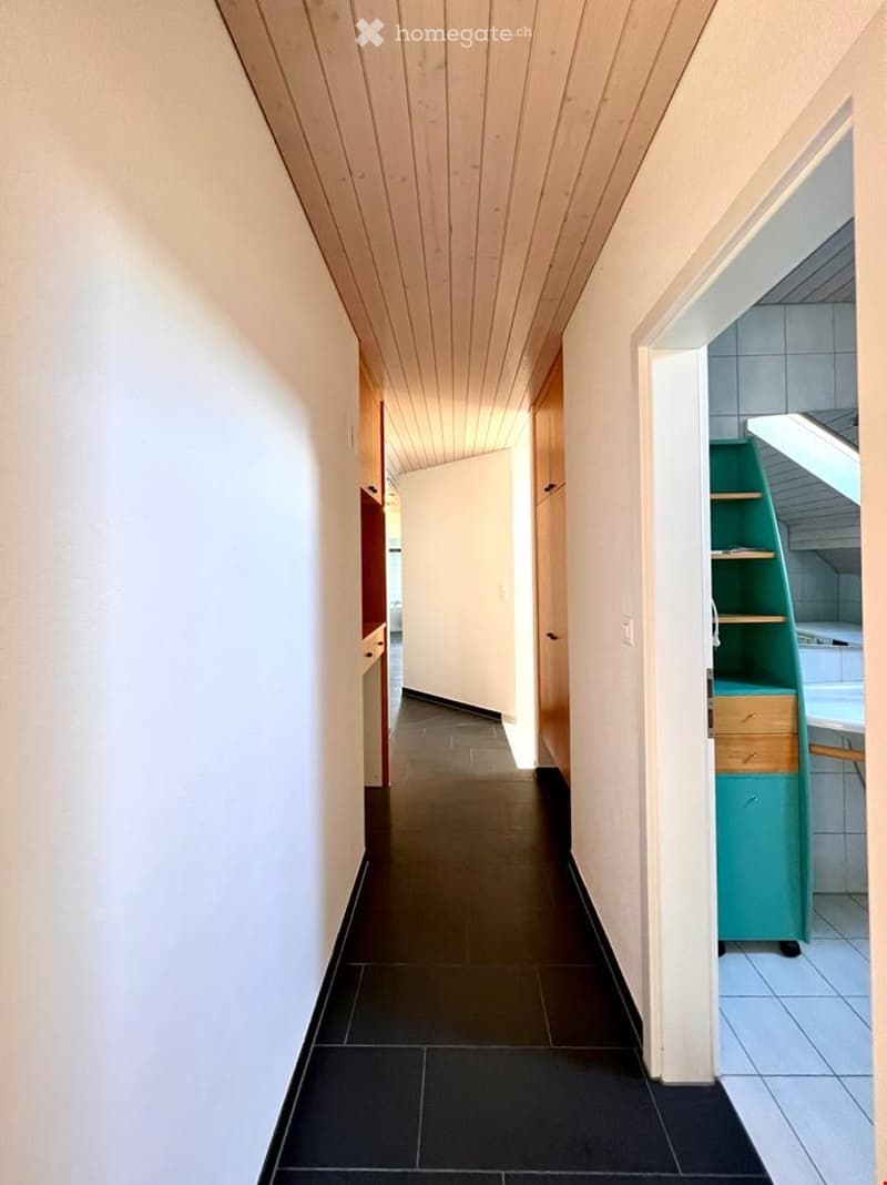 {"visible_features": [],    "type": "Room",    "description": "Narrow hallway with wooden ceiling, black tiled floor, built-in storage, white walls, hallway leading to bathroom",    "localized_descriptions":        {        "EN": "Narrow hallway with